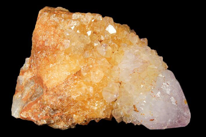 Sunshine Cactus Quartz Crystal - South Africa #122328